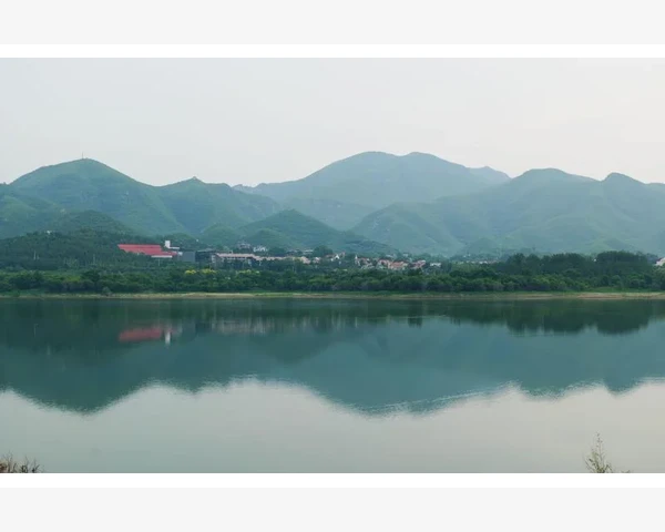 红参与胡椒：养生脾胃的黄金搭档